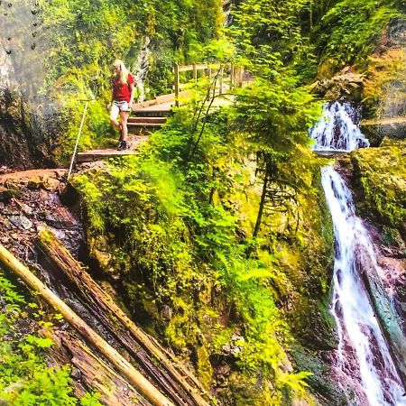 Ferienwohnung Schwarzwald トートモース エクステリア 写真