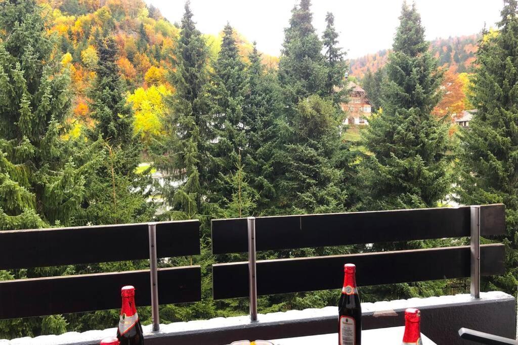 Ferienwohnung Schwarzwald トートモース エクステリア 写真