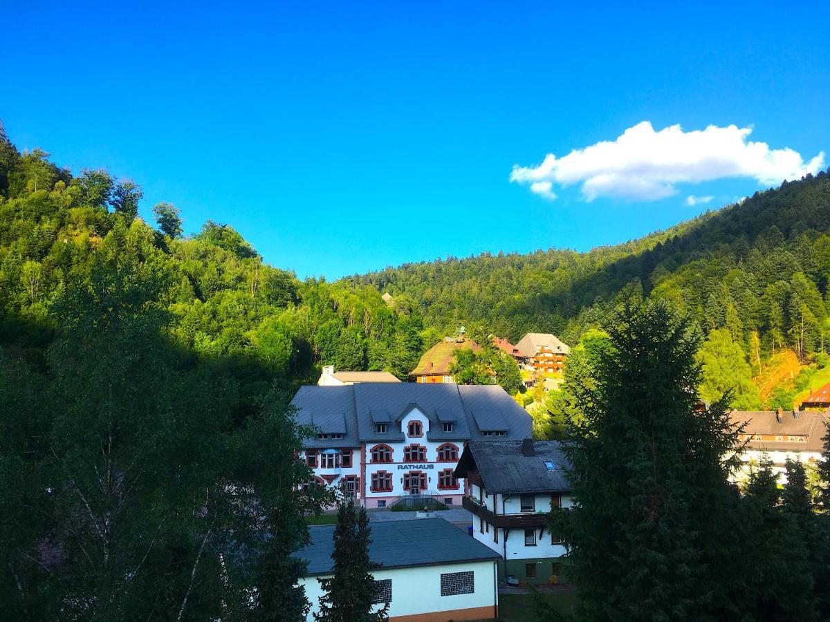 Ferienwohnung Schwarzwald トートモース エクステリア 写真