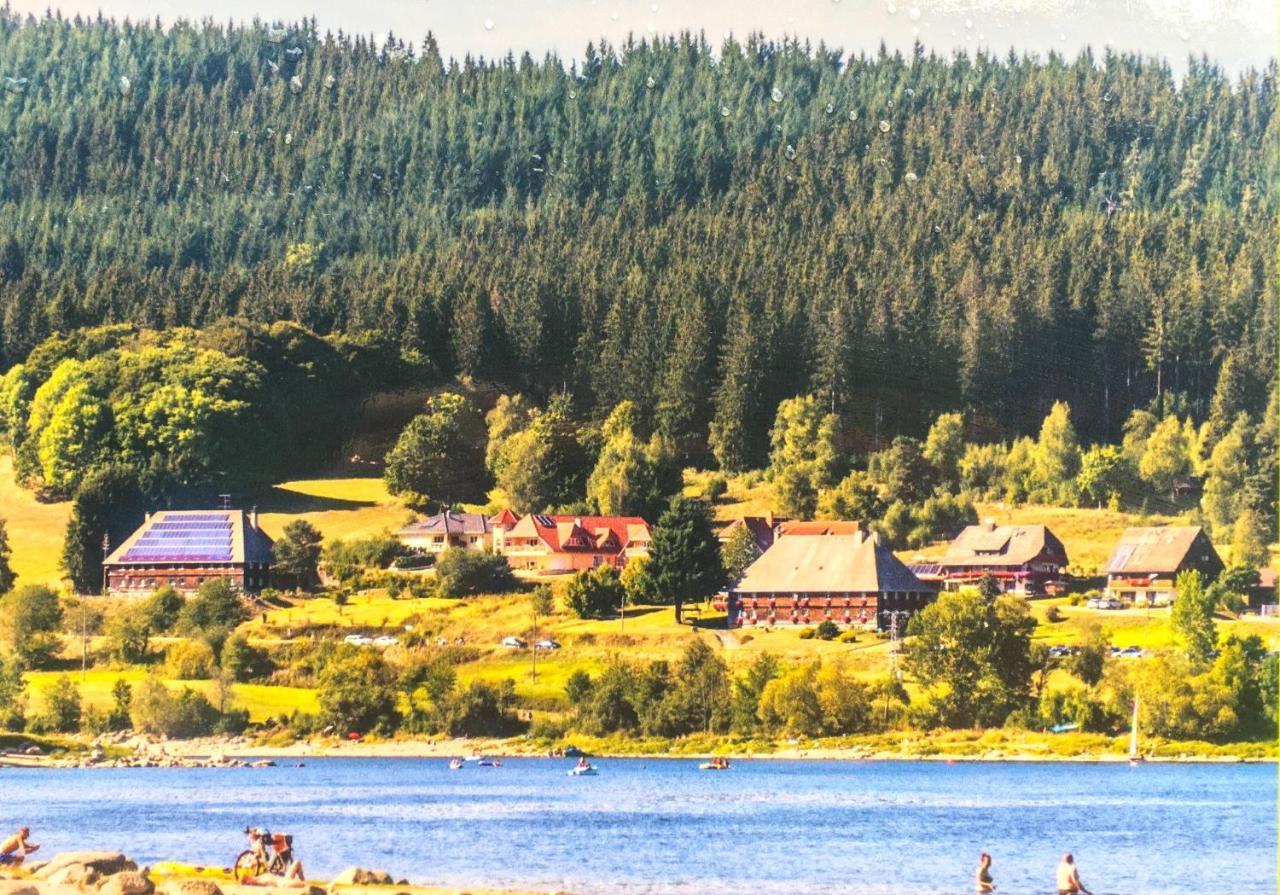 Ferienwohnung Schwarzwald トートモース エクステリア 写真