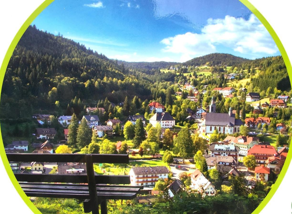 Ferienwohnung Schwarzwald トートモース エクステリア 写真